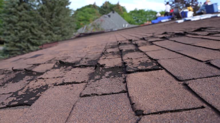 Best Roof Coating and Sealing  in Gordon, NE