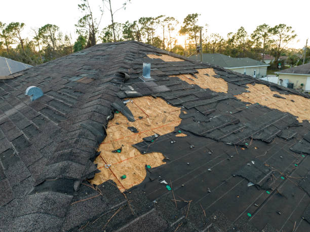 Best Storm Damage Roof Repair  in Gordon, NE