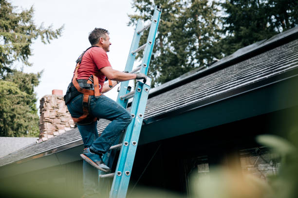 Best Chimney Flashing Repair  in Gordon, NE